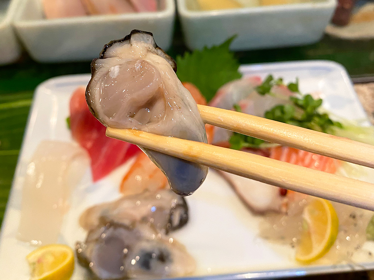 「すし 松前」の刺身盛り合わせに生牡蠣 @名古屋市西区栄生
